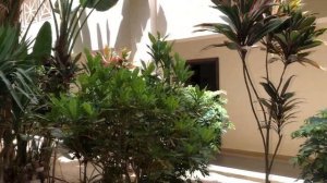 Prima Life Makadi 5* - обзор отеля. Территория и номера отеля. Египет, Хургада 2023.