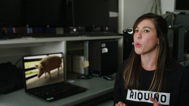 Пигнорант (документальный фильм, 2024)