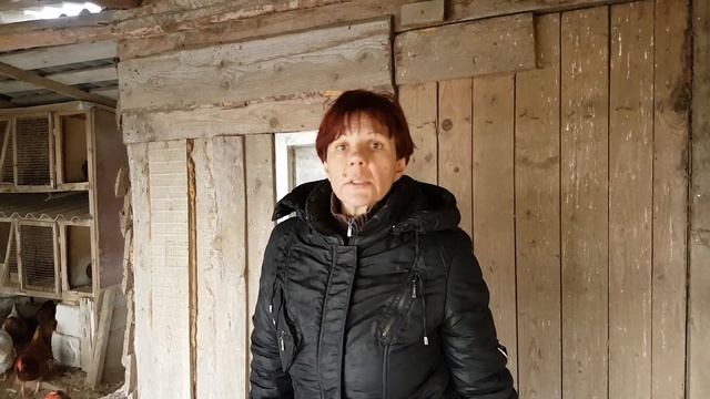 Лучший корм для несушек зимой чем кормить чтобы куры не склёвывали яйца смотреть онлайн