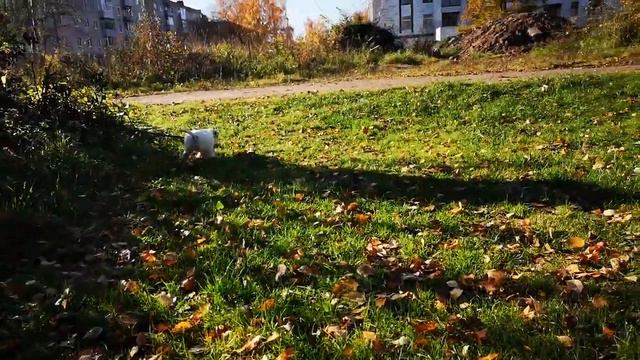 Девочка. Завтра 06.10.2021 будет 3 месяца 🥰