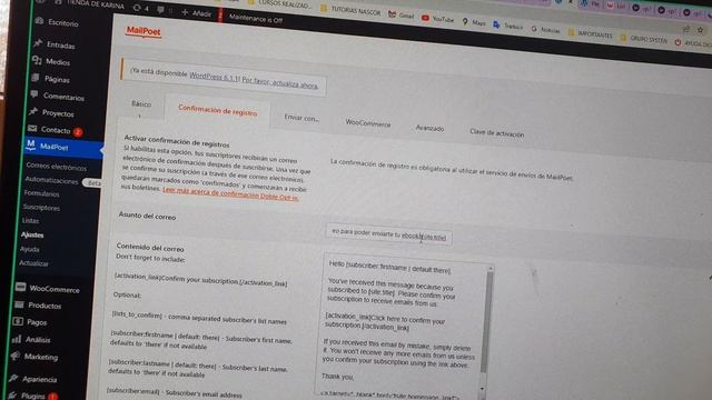 CÓMO configurar MailPoet para WORDPRESS. EMAILS Y NEWS смотреть онлайн
