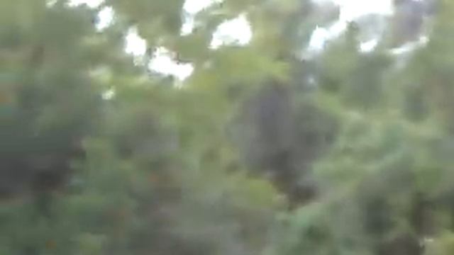 Shooting my Sig 22 смотреть онлайн