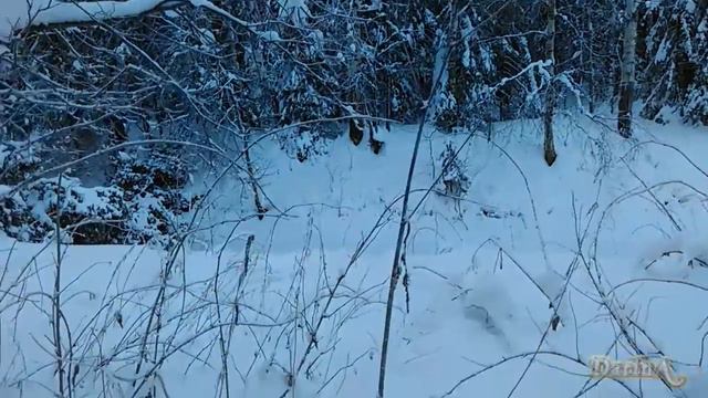 Дорога перекрыта (часть 1) смотреть онлайн