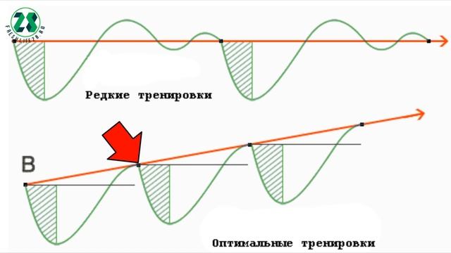 сколько раз в неделю нужно тренироваться. как набрать массу. суперкомпенсация смотреть онлайн