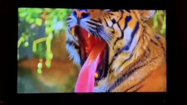 Тест качества изображения на телевизоре с медиаплеером смотреть онлайн