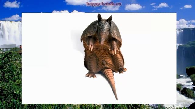 ЖИВОТНЫЕ ЮЖНОЙ АМЕРИКИ со звуками. для детей от 1 до 3 лет По методике Домана Развивающий мультфиль смотреть онлайн