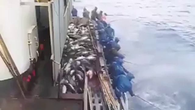 Ловля рыбы в океане. СУПЕР РЫБАЛКА. смотреть онлайн