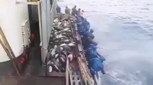 Ловля рыбы в океане. СУПЕР РЫБАЛКА.