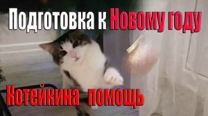 Подготовка к Новому году у нас дома / Кот в помощь