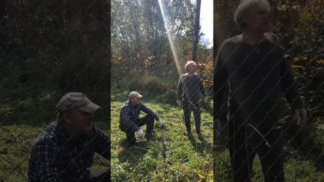 Демонтаж забора. смотреть онлайн