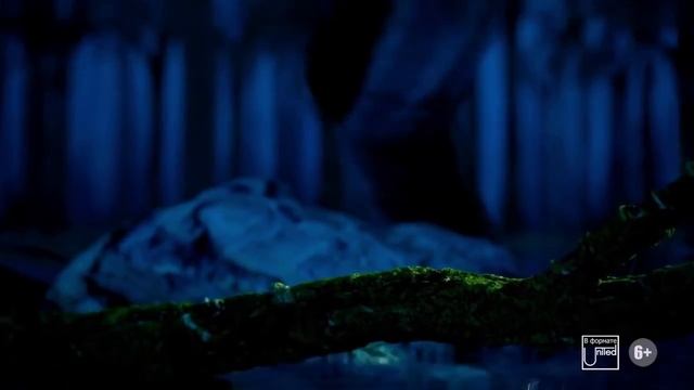 Реклама шоу Братьев Запашных "Хозяйка Мертвого Озера" смотреть онлайн