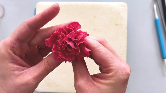 Valentine's Day Cake Flowers // Pink Gumpaste Carnations // Finespun Cakes смотреть онлайн