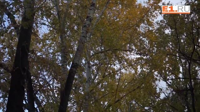 Осенний Харитоновский парк смотреть онлайн