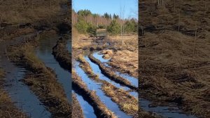 Уаз 3303 на белках в грязь