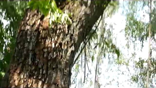 Коллективная работа (уход за могилами) 2010 с. Шубино смотреть онлайн