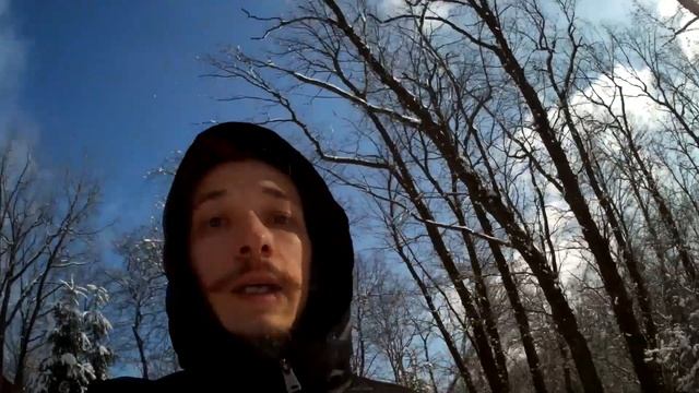 В КАКОМ ВОЗРАСТЕ АМСТАФФ НАЧИНАЕТ СТАРЕТЬ смотреть онлайн