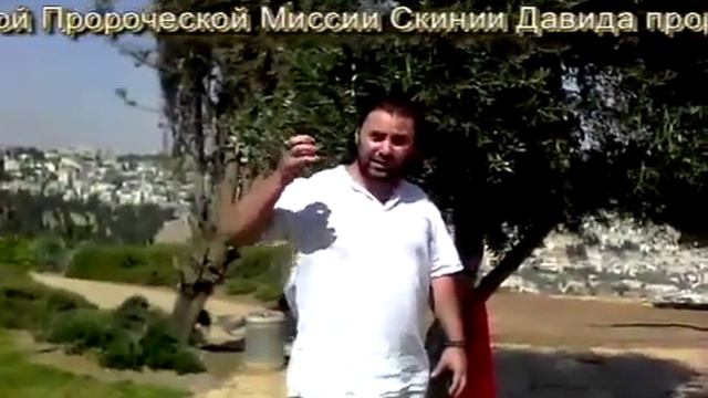 Помазание и кровь Йешуа ха Машиаха Оливковая роща смотреть онлайн