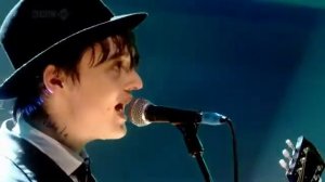 Peter doherty last of the english roses.