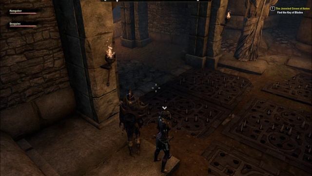 Elder Scrolls Online: Dungeon/Delve - Tomb of Lost Kings смотреть онлайн