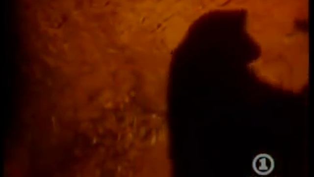 Black Sabbath - Headless Cross