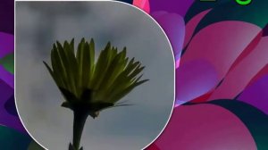 Оригинальное поздравление с Днем рождения 17 лет мальчику, парню, юноше