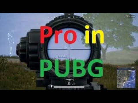 Professional in PUBG смотреть онлайн