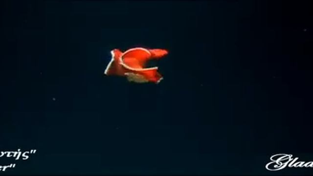 Видео вода морей и океанов и ее обитатели - Journey in the Ocean World смотреть онлайн