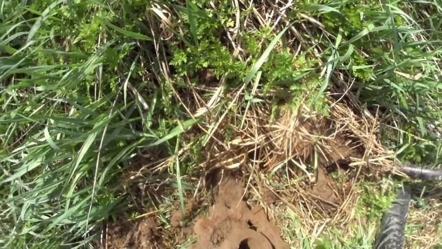 МЕТАЛЛ НАШЕЛ! И ДАЖЕ НА ФЕРМУ НЕ ЗАШЕЛ! смотреть онлайн