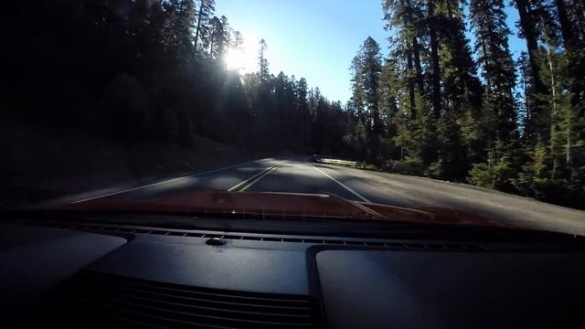 The New Shelby GT350 Is Unbelievably Good смотреть онлайн