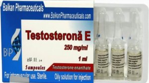 Тестостерон Энантат