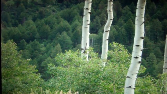 ANANDA MANDALA BREATH WORK 144.MP4