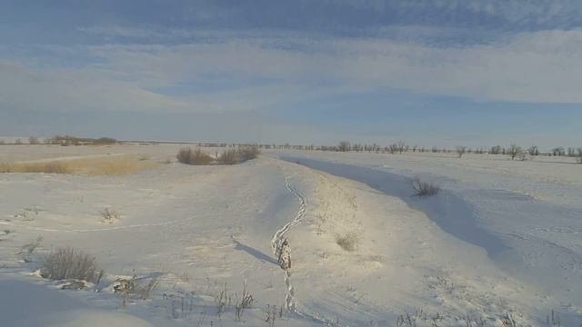 Мотобуксировщик Алабай . Охота на зайца. Доехать, куда на лыжах не дойдешь. смотреть онлайн