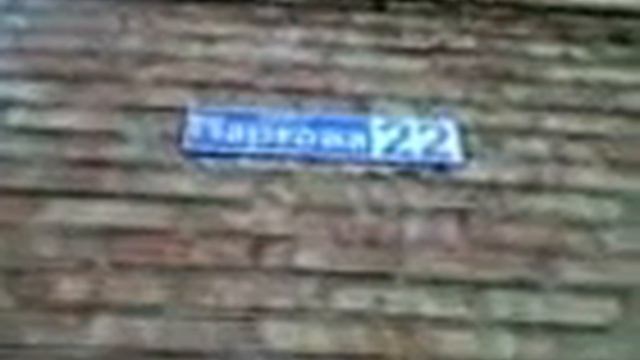 Кот на крыше. Ул. Парковая 22  13 11 2015