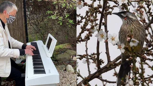 ROLAND FP-30X piano - Gypsy Pennefeather - WILD HONEY waltz смотреть онлайн