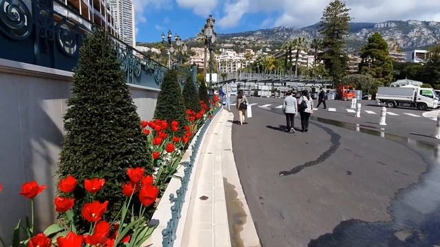 #132. Гламурный #Монако перед Гран При #монтекарло #гонка #гранпри #формула #monaco смотреть онлайн