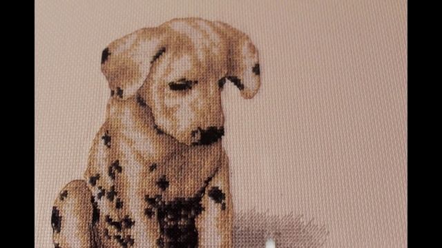 Мои вышитые крестиком работы смотреть онлайн