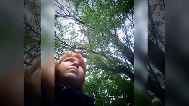 Родионова читает: "Соловей поёт на кладбище" смотреть онлайн