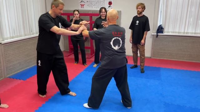 Ицюань Москва / Разбор деталей Дань Туйшоу для начинающих (24.09.22) #24 смотреть онлайн