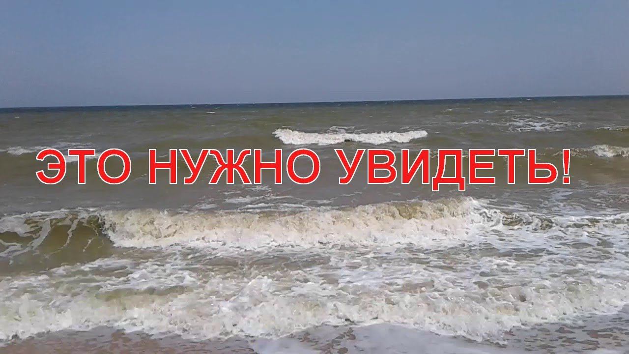 Должанская коса, виндсерфинг с парашютом в шторм.Dolgan spit,Windsurfing with a parachute in a storm смотреть онлайн