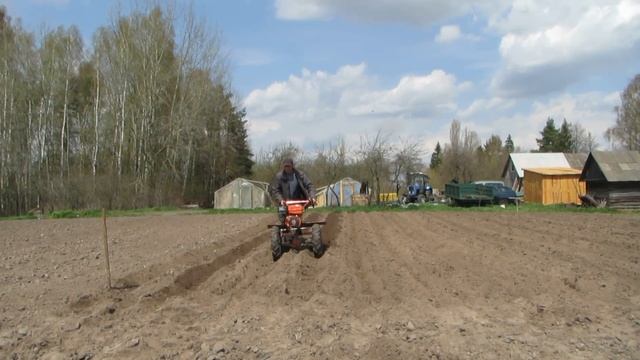 Нарезаю гребни мотоблоком и сею морковь. смотреть онлайн