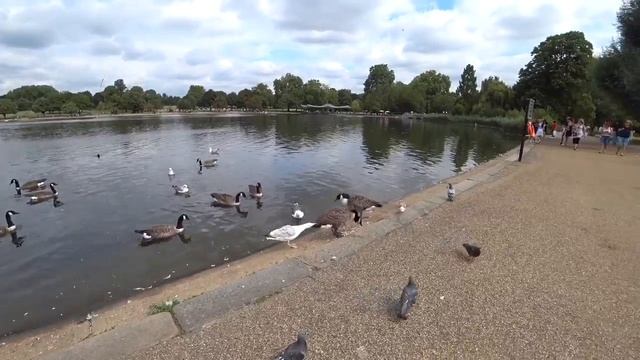 Лондон ??London. Hyde Park??Гайд-Парк. Царство красоты и гармонии? смотреть онлайн