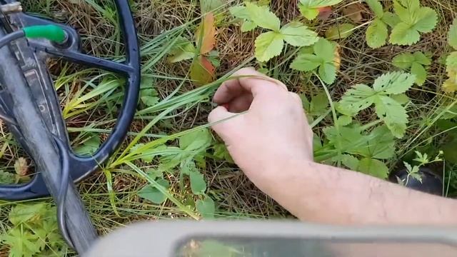 ШОК!!! от находки. Искал монеты а нашел ТТ смотреть онлайн