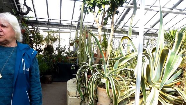 Ботанический сад Санкт-Петербурга. Тропики.Фрагменты экскурсии 11 сентября 2016 года. смотреть онлайн