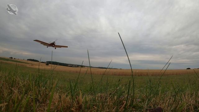 Pilot Error and near crash DESTROYS my confidence смотреть онлайн