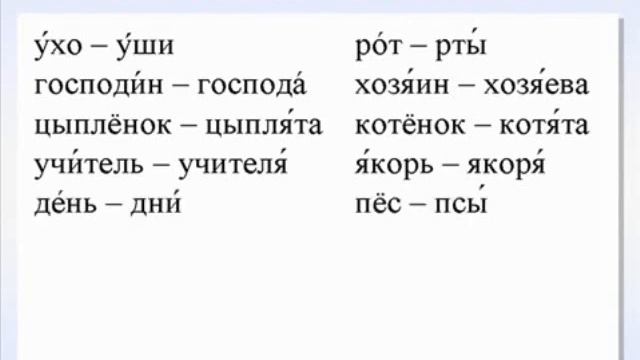 Множественное число в русском языке примеры и упражнения Русский как иностранный Болтаева М Ш смотреть онлайн