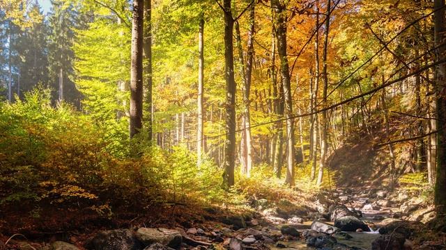 Евангелие дня. Чтимые святые дня. Собор славных и всехвальных 12-ти апостолов. (13 июля)