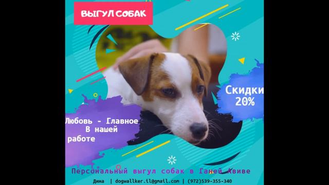 ВЫГУЛ СОБАК В ГАНЕЙ АВИВ смотреть онлайн