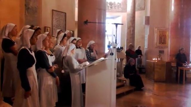 Литургия 2 курса.2017 г. Свято-Димитриевское училище сестер милосердия смотреть онлайн