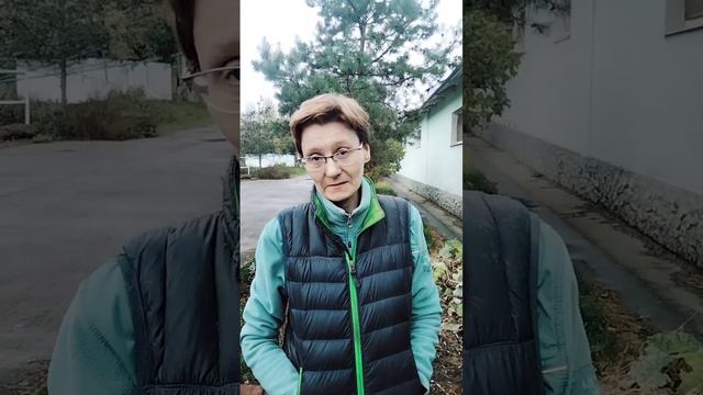 Говорит коневладелец с ипподрома Надежда! смотреть онлайн