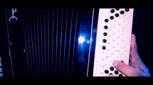 НА БАЯНЕ ОБУЧЕНИЕ Одинокая ветка сирени